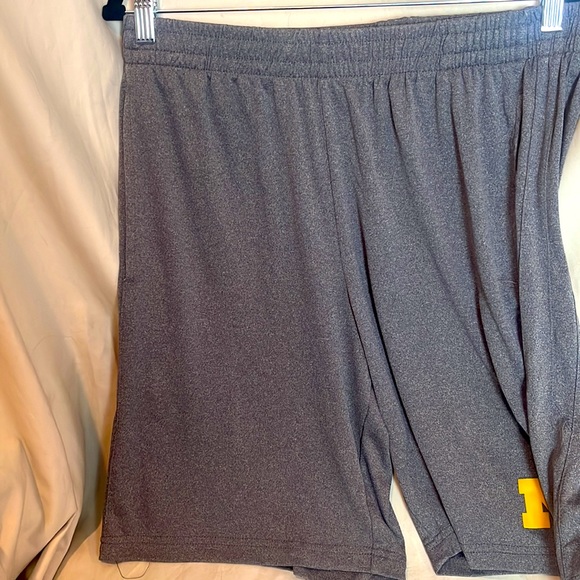 University of Michigan Grey Nylon XL Shorts with Pockets; Elasticized Waist - Picture 3 of 9